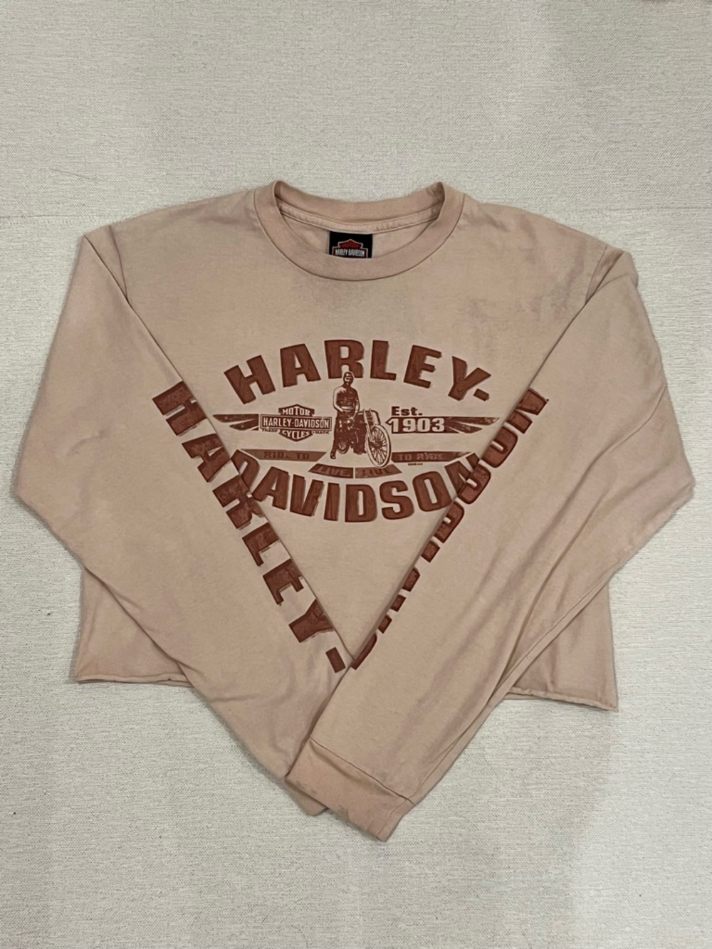 Vintage Harley Davidson Cropped Long Sleeve Tee Y2K Biker Dalton GA
